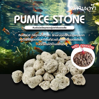 หินภูเขาไฟ (พร้อมถุงตาข่าย 1 แถม 1) ขนาด 200 กรัม 500 กรัม และ 1000 กรัม ฝุ่นน้อย ใช้เป็นวัสดุกรอง หรือรองพื้นตู้ได้