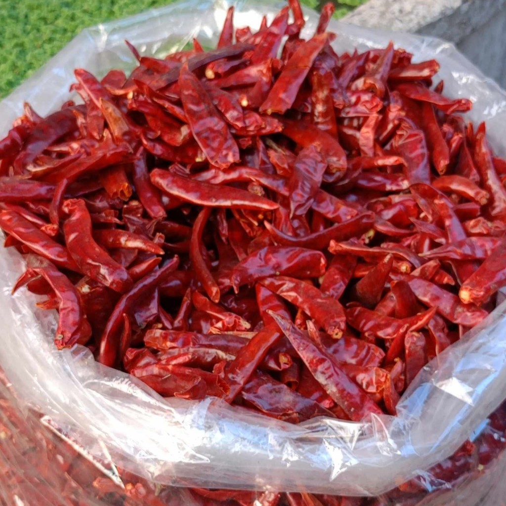 พริกจินดาตากแห้ง 100 กรัม พริกจินดาแห้ง พริกจินดาเด็ดก้าน สะอาด