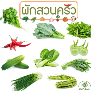 เมล็ดพันธุ์ผักสวนครัว แบ่งขาย เมล็ดกระเพรา โหระพา ผักชี พริก คะน้า กวางตุ้ง ผักบุ้ง แตงกวา ถั่วพู มะเขือเปราะ หอมแบ่ง