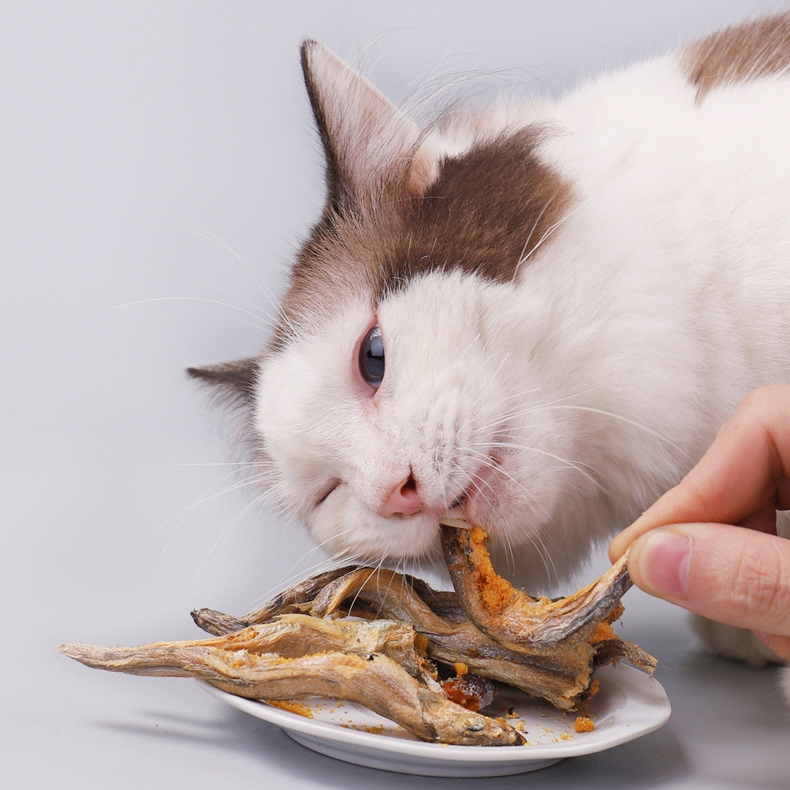 ปลาไข่ฟรีซดราย เต็มชิ้น ไข่แน่น ปลาไข่อบแห้ง ขนมสัตว์เลี้ยงหมาแมว