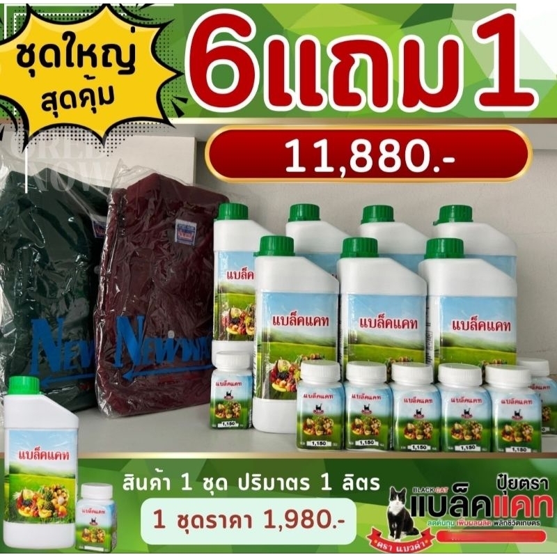 แถมฟรี 1 ชุด #ปุ๋ยแบล็คแคท #ปุ๋ยทางใบ #ปุ๋ยฟื้นต้น #ปุ๋ยบำรุงต้นเร่งด่วน