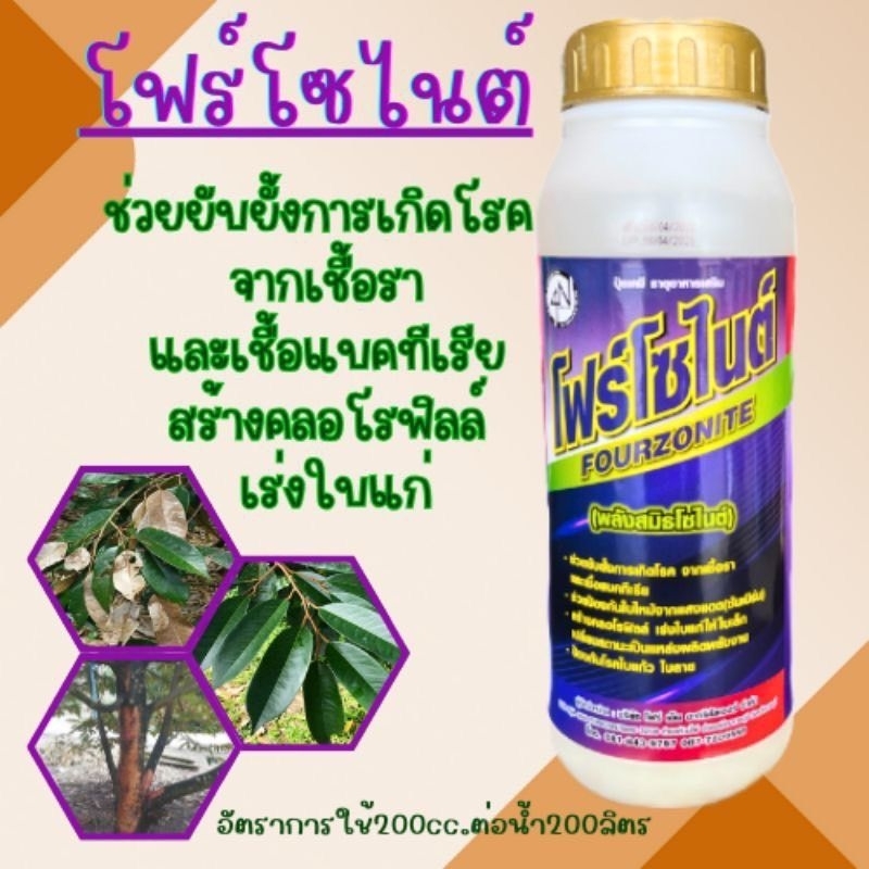 โฟร์โซไนต์ ป้องกันและกำจัดเชื้อราเสริมสร้างคลอโรฟิลล์