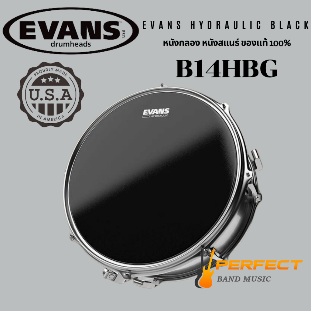 หนังกลองสแนร์ Evans B14HBG 14 นิ้ว สีดำ