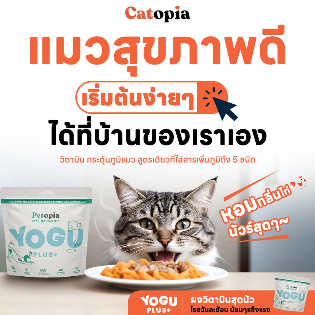 Yoguplus วิตามินเสริมโรยอาหาร เพิ่มภูมิสัตว์เลี้ยง Lysine Beta-glucan Probiotics Yoghurt yogu plus