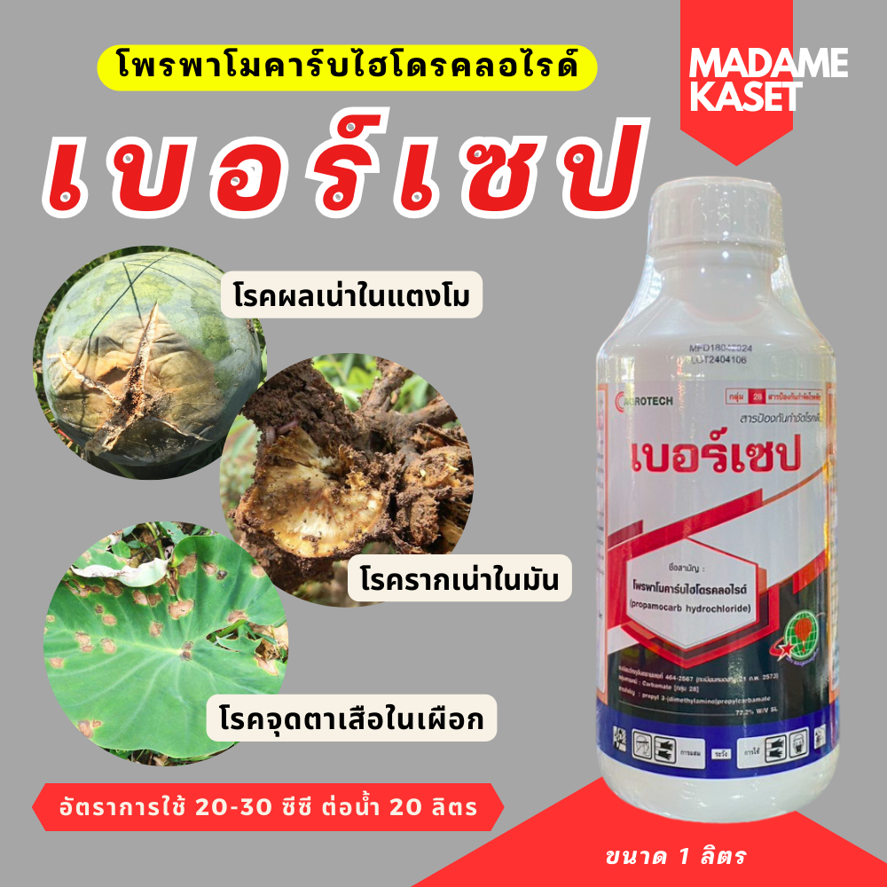 เบอร์เซป (โพรพาโมคาร์บไฮโดรคลอไรด์72.2%) เก่งโรคเน่าดิน เน่าหัว เน่าต้น ในมันสำปะหลัง เผือก แตงโม ทุเรียน (1 ลิตร)