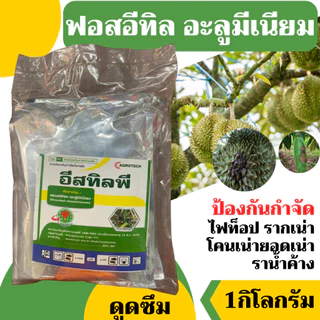 [2แบบ] ฟอสอีทิล ฟอสอีทิล-อะลูมิเนียม (fosetyl-aluminium) สูตร 80% WP ขนาด 1 กก สารกำจัดโรคพืช โรคเน่า