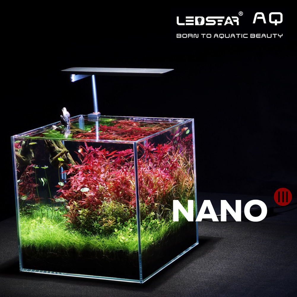 LEDSTAR AQ Nano Aurora III โคมไฟสำหรับตู้ไม้น้ำ วาบิคูสะ แคสตัส กำลังไฟ 22W