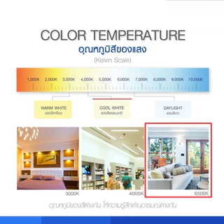 หลอดนีออน T5 4W 6W 8W แสงขาว Daylight 6500K หลอดฟลูออเรสเซนต์ T5 เปลี่ยนแทนหลอดเดิม สำหรับโคม T5