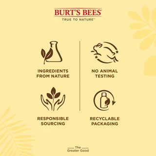 Burt's Bees IN FULL BLOOM ASSORTED LIP BALM GIFT SET