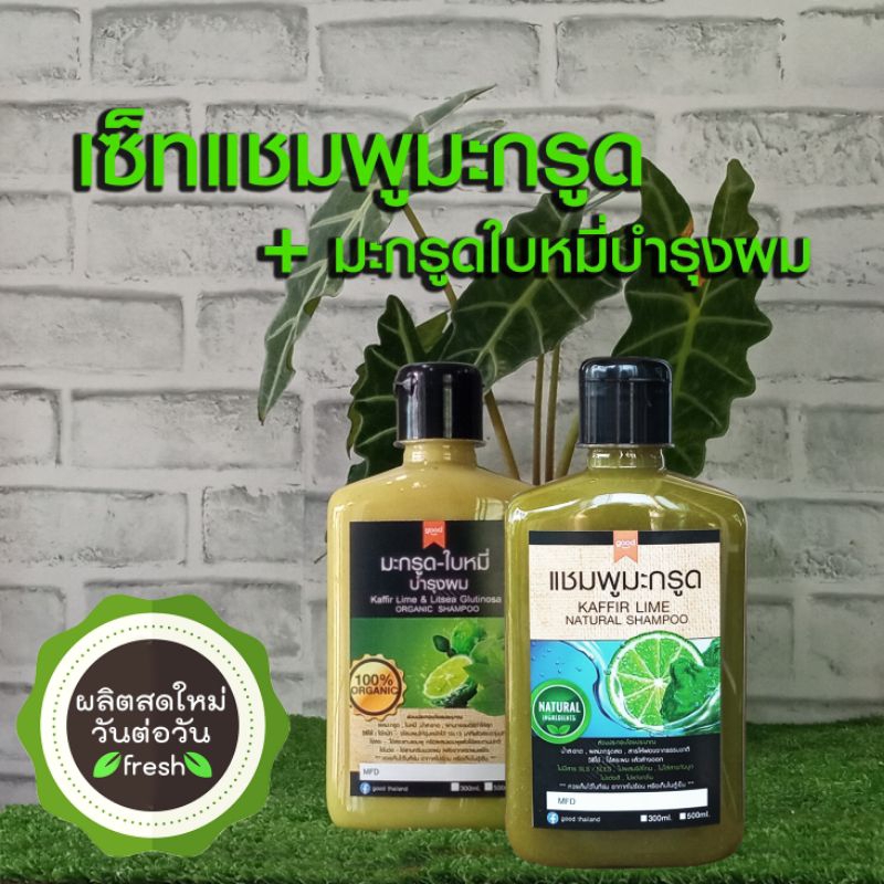 300ml เซ็ทคู่ แชมพูมะกรูดสูตรฟองจากธรรมชาติ + มะกรูดใบหมี่ บำรุงผม ออแกนิค