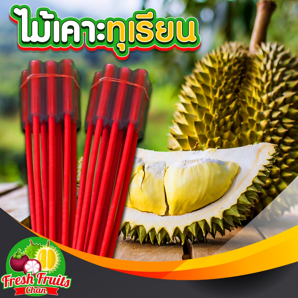 👍🏻💥ไม้เคาะทุเรียนคัดเกรดพิเศษ🌟ราคาต่อ 1 อัน