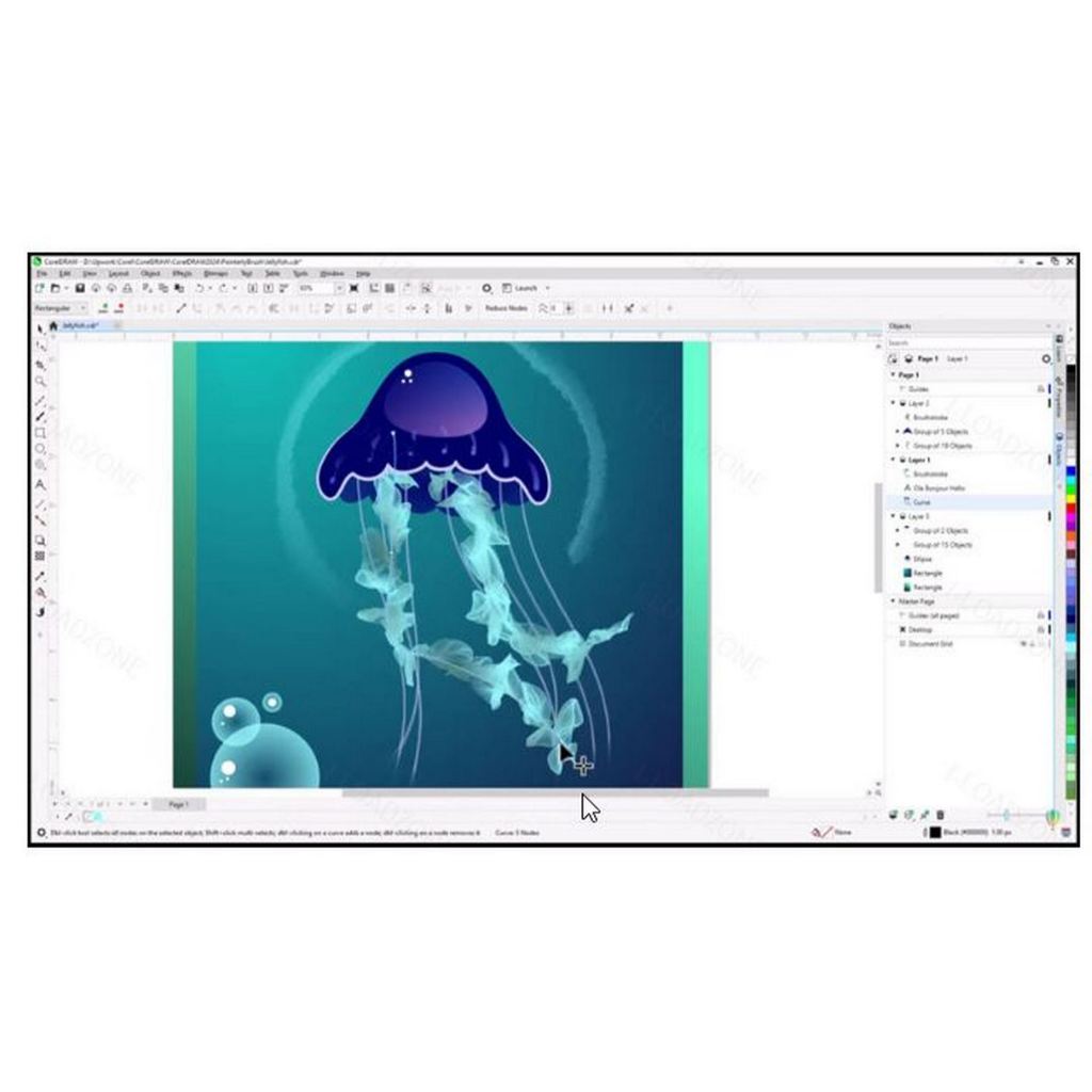 CorelDRAW Graphics Suite 2024 ทักถามรายละเอียดก่อนได้ครับ