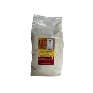 Wholemeal Rye Flour T170 แป้งไรย์ โฮลมีลไรย์