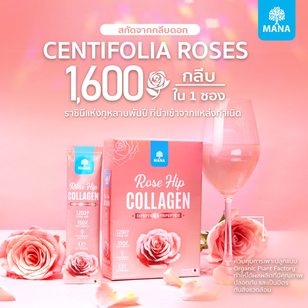 (จัดส่งฟรี!!) Mana Rose Hip collagen ผิวออร่า ผิวลืน อิ่มฟู ชุ่มชื้น ผิวขาว ริ้วรอย รอยดำ