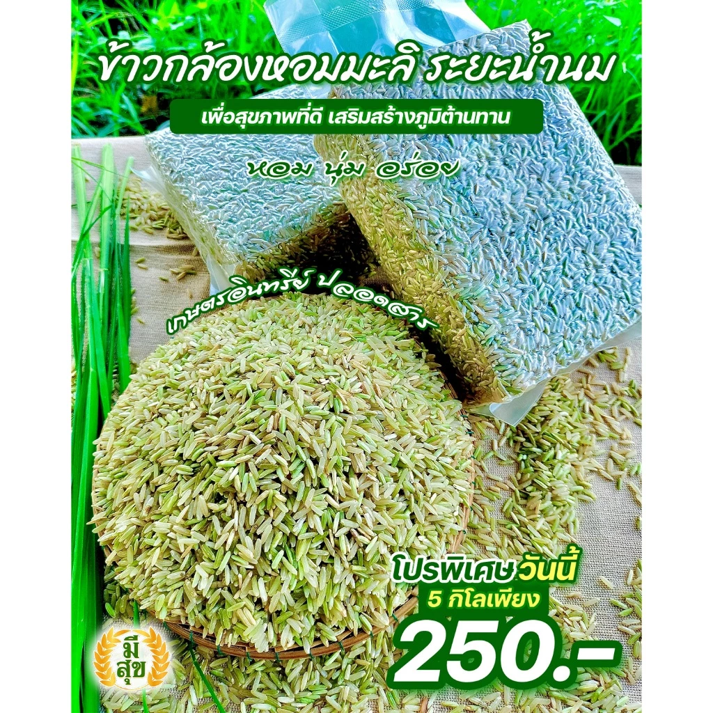 ข้าวกล้องหอมมะลิน้ำนม 5 กิโล ตรามีสุข (หอม อ่อนนุ่ม เป็นพิเศษ) ซีลสูญญากาศถุงละ 1 กิโล 5 ถุง