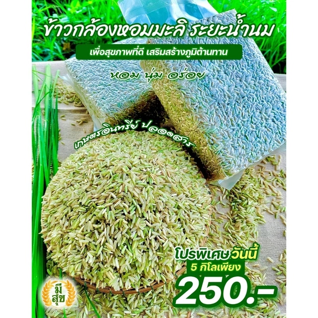 ข้าวกล้องหอมมะลิน้ำนม 5 กิโล ตรามีสุข (หอม อ่อนนุ่ม เป็นพิเศษ) ซีลสูญญากาศถุงละ 1 กิโล 5 ถุง