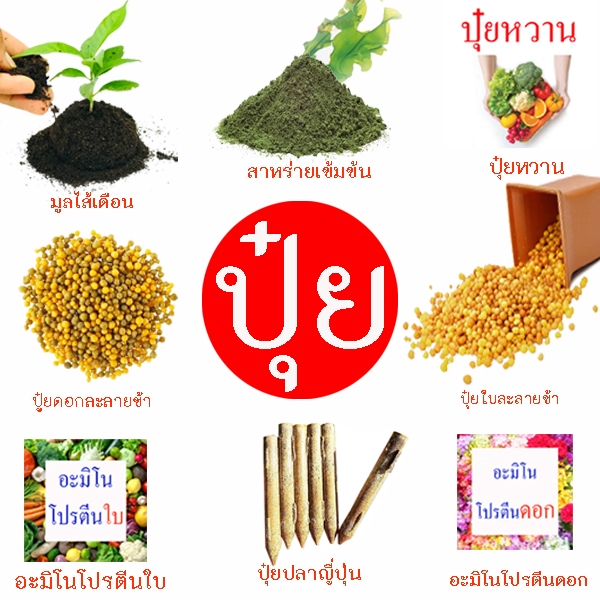 ปุ๋ย📌ปุ๋ยทุกชนิด📌10แถม1 !!🎯ถูกที่สุด10บ.🎯ปุ๋ยทุกชนิดบำรุงพืช🎊ลูกดก🌱โตเร็ว🌱ดอกดก🌱บำรุงดิน