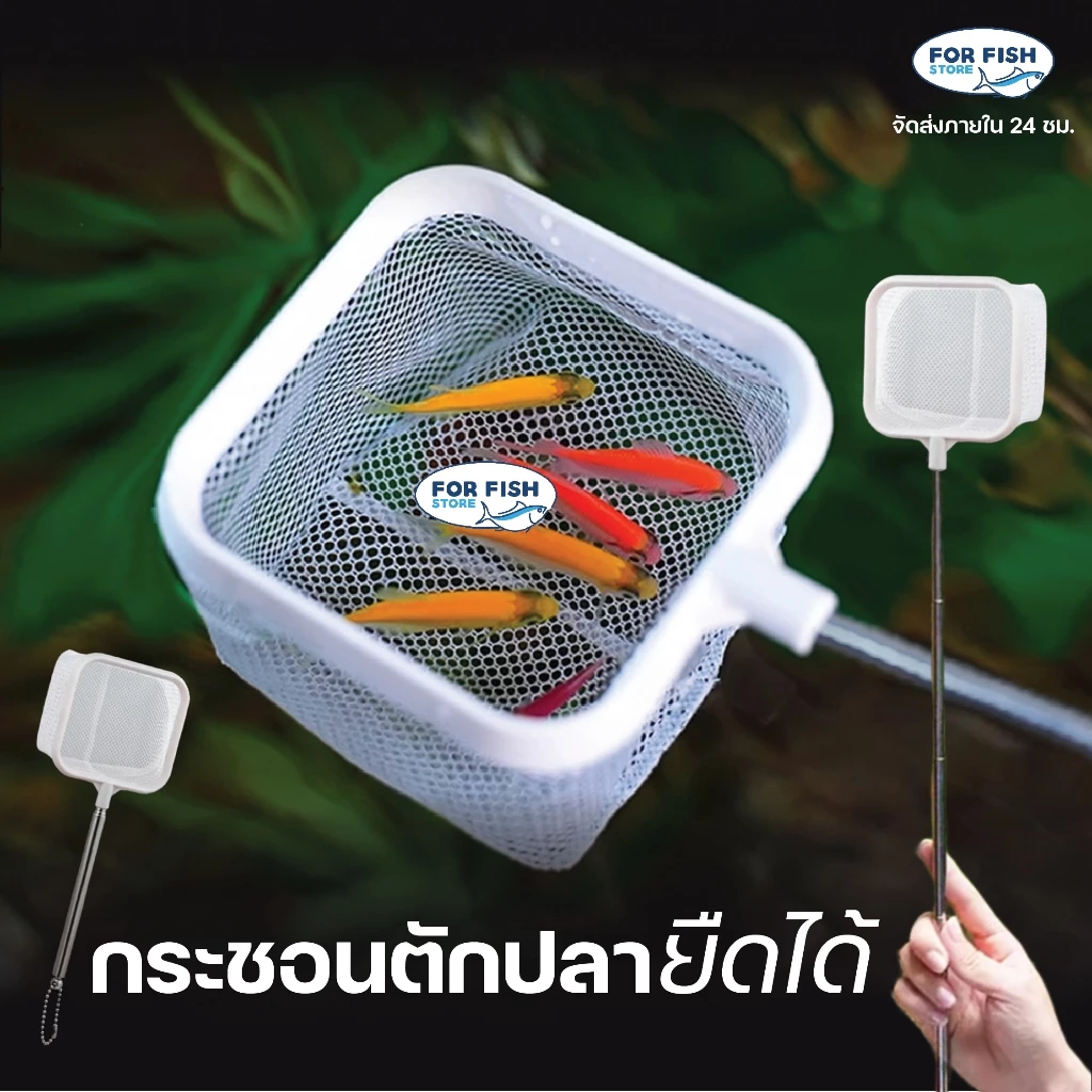 กระชอนตักปลา ยืดพับได้ 24-57 ซม. 2in1 แยกปลาได้