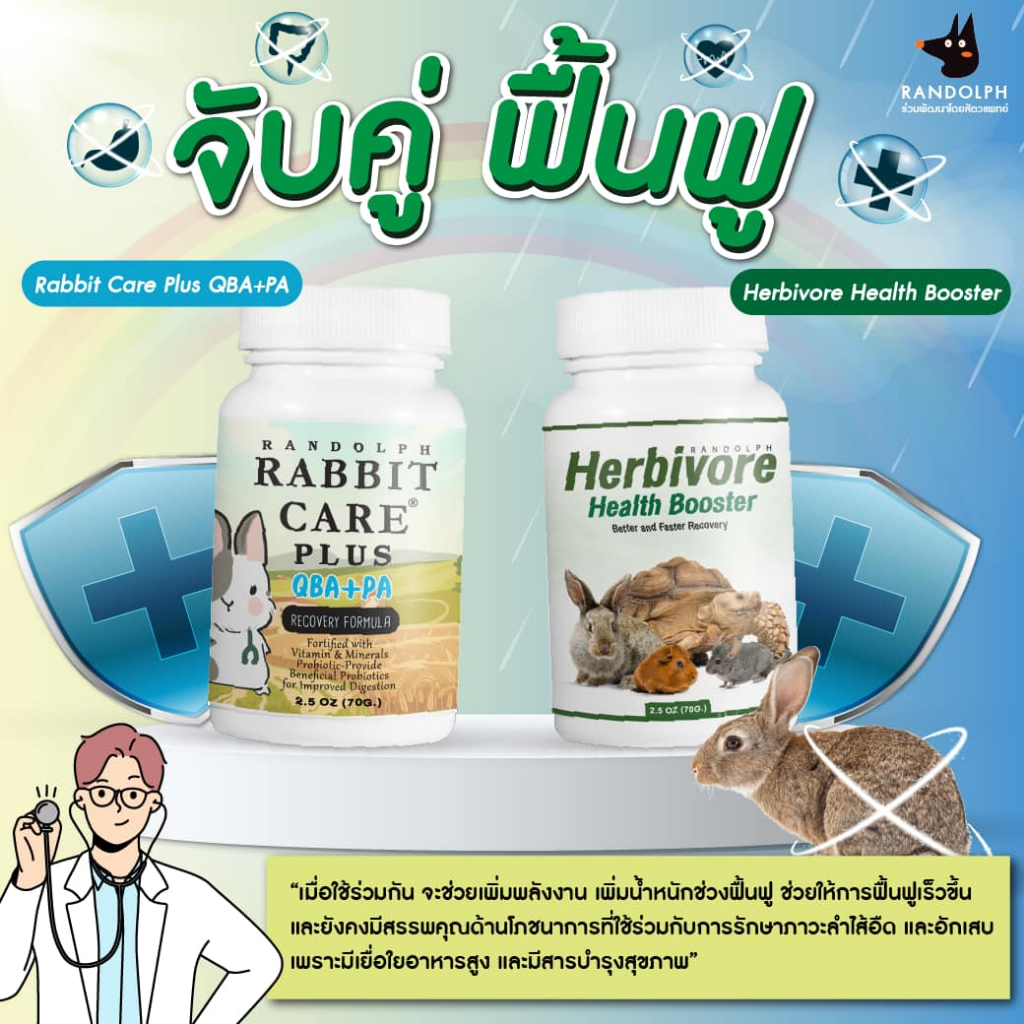 รูปภาพ 9