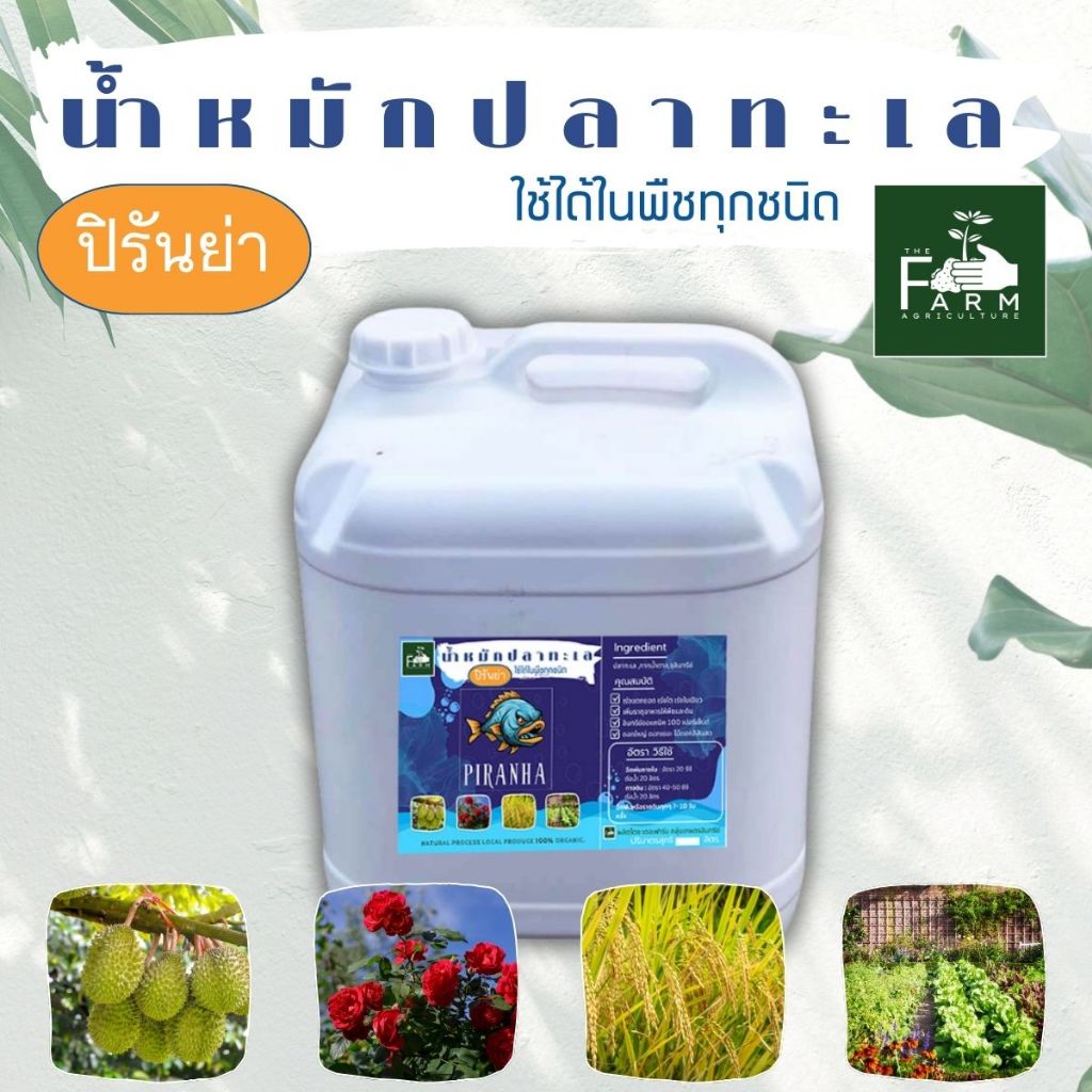 น้ำหมักปลาทะเลปิรันย่า  20 ลิตร 1 แกลลอน เร่งโต เร่งราก เร่งการเติบโต ในไม้ผล พืชไร่ พืชสวน