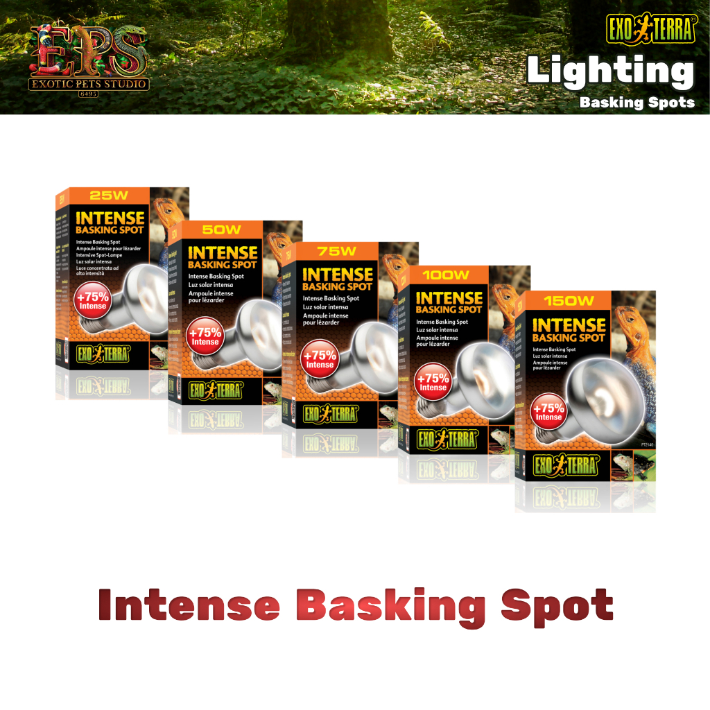 หลอดไฟ Exo Terra Intense Basking Spot หลอดให้ความร้อน UVA (50W / 75W / 100W)
