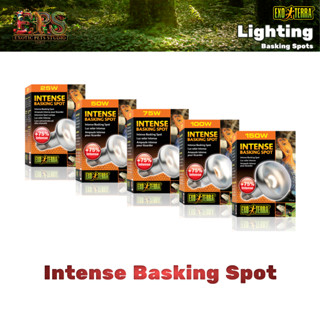หลอดไฟ Exo Terra Intense Basking Spot หลอดให้ความร้อน UVA (5…