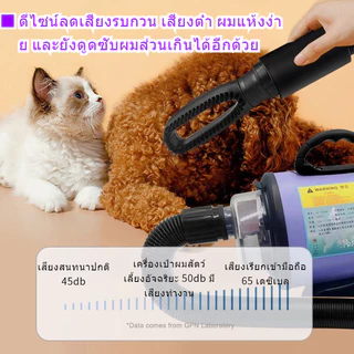 6500W ไดร์เป่าขนหมา&เครื่องดูดฝุ่น ไดร์ขนหมา เสียงเบา เครื่องเป่าขน ไดร์ไล่น้ำ ไดร์เป่าขนสัตว์ ไดร์สุนัข pet hair dryer