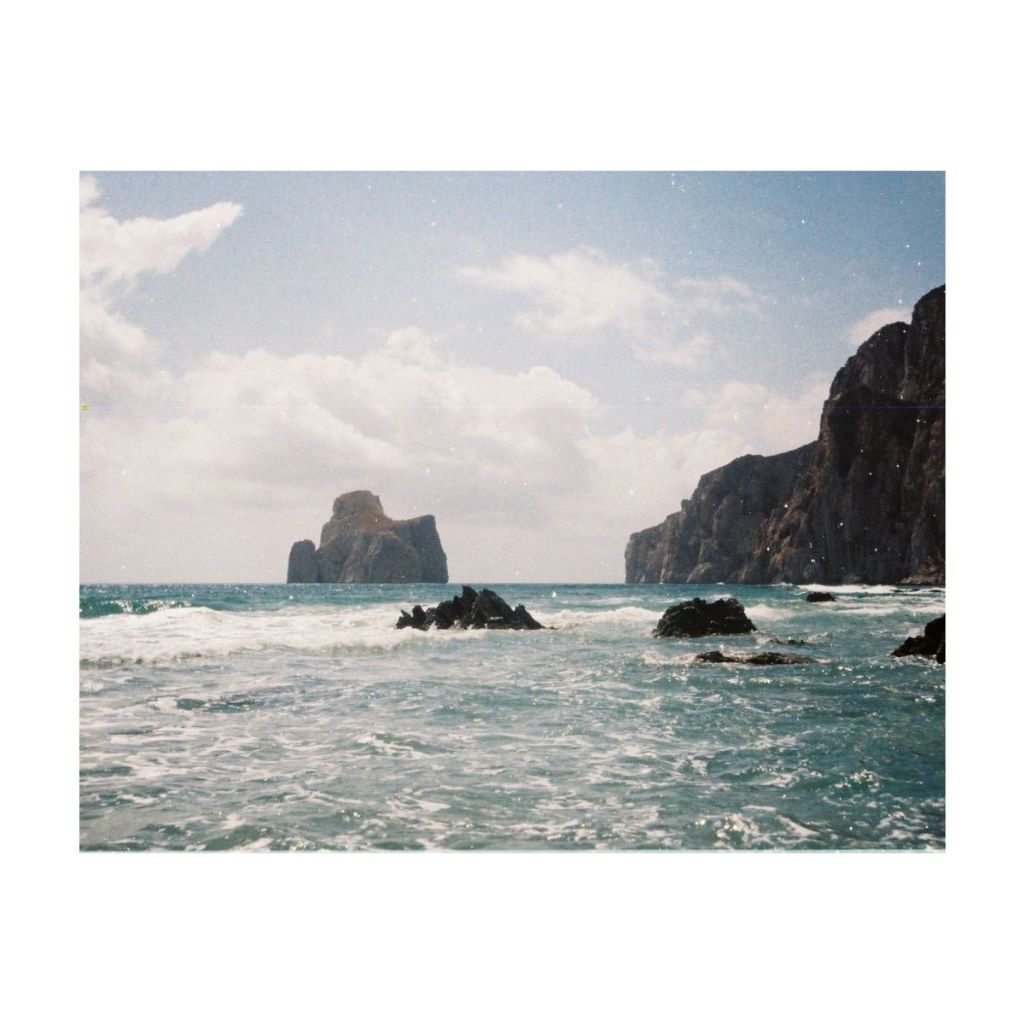 ฟิล์มสี Tiger 110 ISO 200 / Film Lomography ฟิล์ม Lomo ฟิล์มโลโม่ Film 110