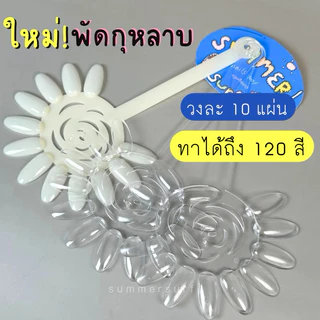 🇹🇭 ชาร์ตโชว์สีเล็บ💗 ชาร์ตทรงรี ชาร์ตทรงใบพัด ชาร์ตสีเล็บ พร้อมส่ง