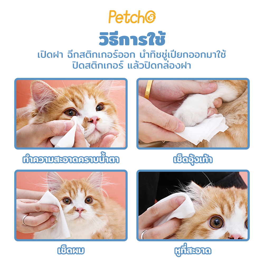 รูปภาพ 4