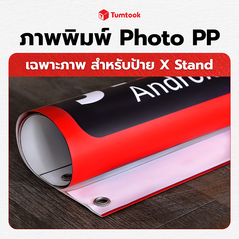 ภาพพิมพ์ Photo PP สำหรับเอ็กซ์สแตนด์ Photo PP PVC X Stand เฉพาะภาพ