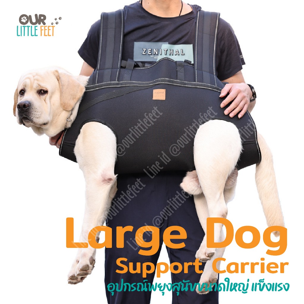 อุปกรณ์พยุงสุนัขชนิดยกทั้งตัวเคลื่อนย้ายน้องหมาตัวใหญ่