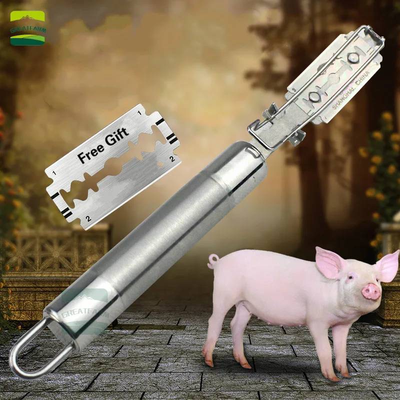 เครื่องมือขูดขนหมู ที่กำจัดขนสัตว์ มีดถอนขหมู ถอนขนหนังหมู ที่โกนขนหมู โกนขน หมู ขน ถอนขน