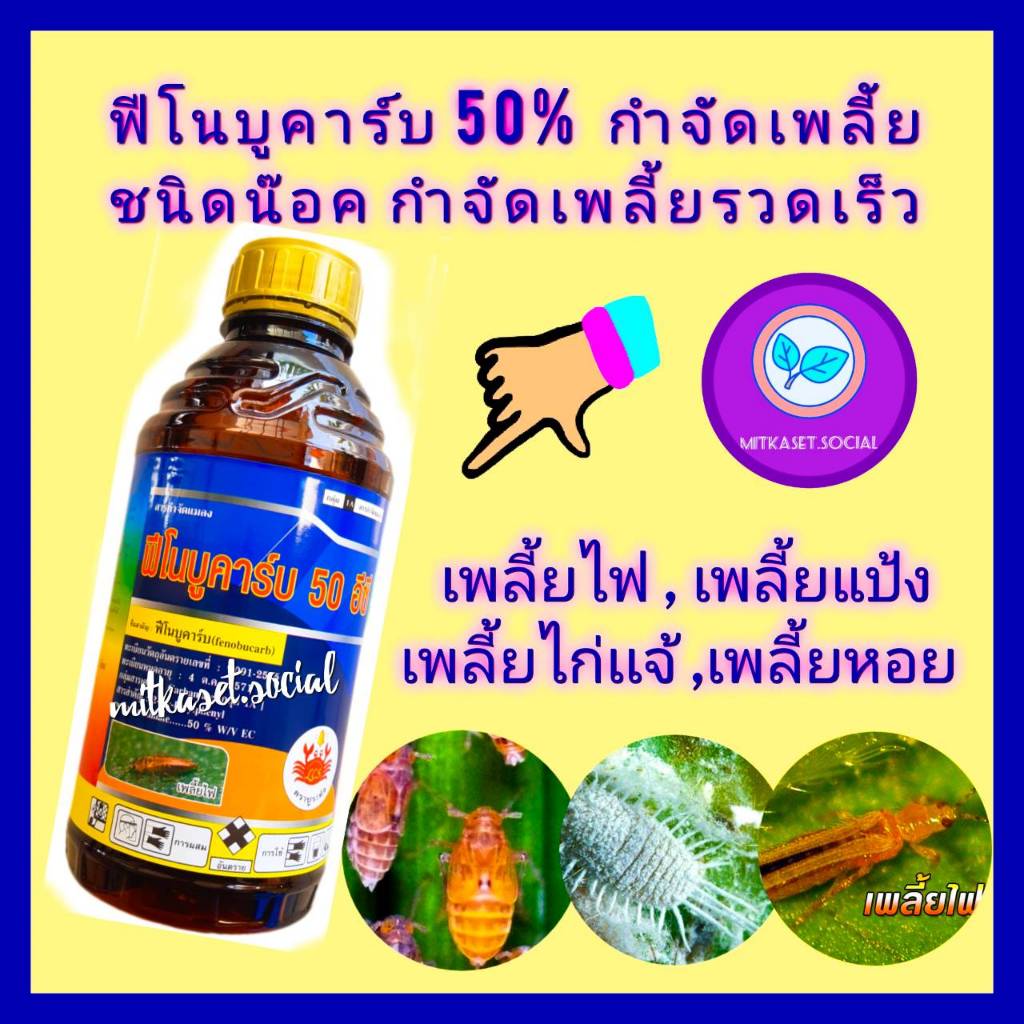 ฟีโนบูคาร์บ50% ยาฆ่าเพลี้ย ยากำจัดเพลี้ย 1ลิตรชนิดน๊อคยาเย็น ยาฆ่าเพลี้ย ยากำจัดเพลี้ย กำจัดเพลี้ย เพลี้ยไฟ เพลี้ยกระโดด
