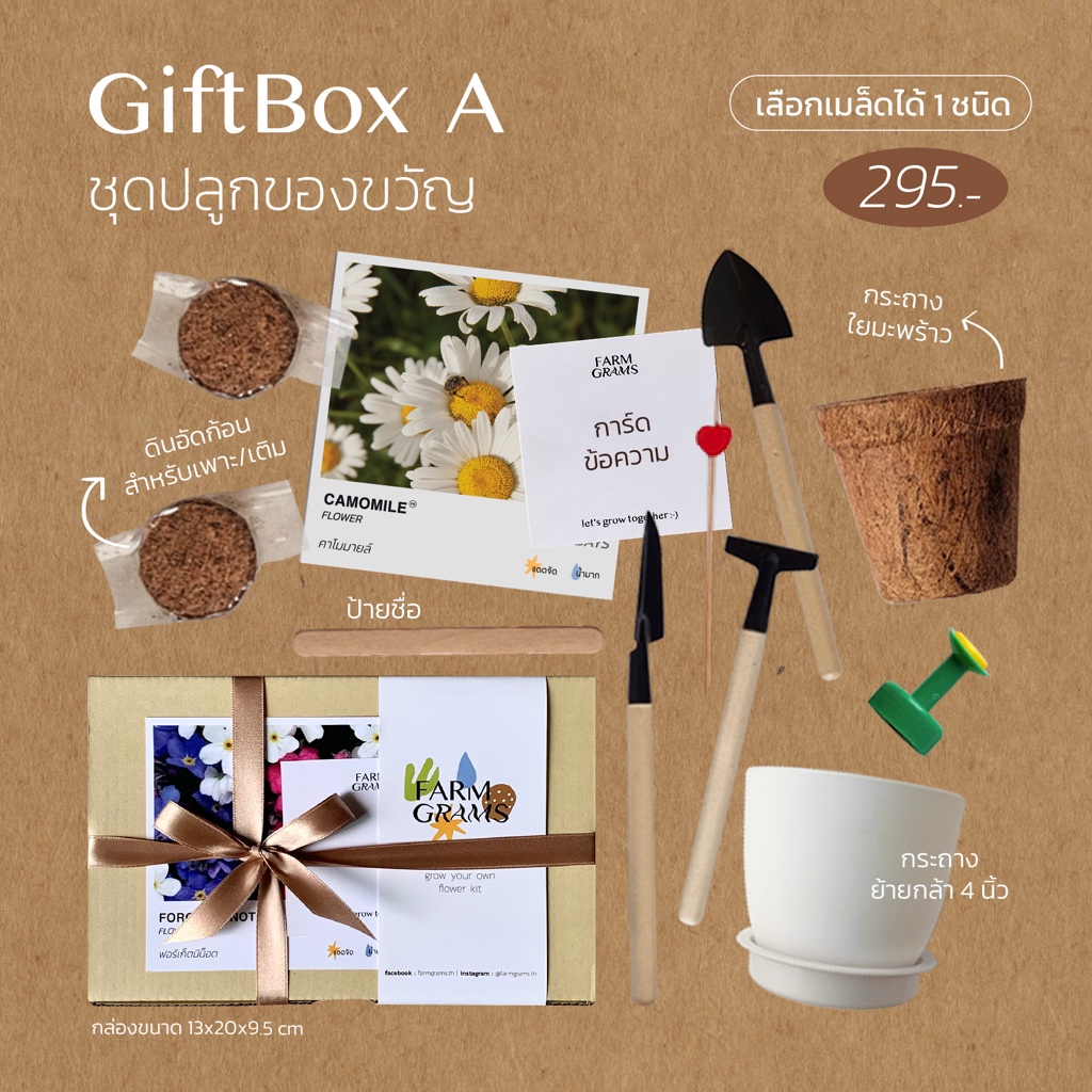 ชุดปลูกดอกไม้ GiftBox A เซตให้ของขวัญ