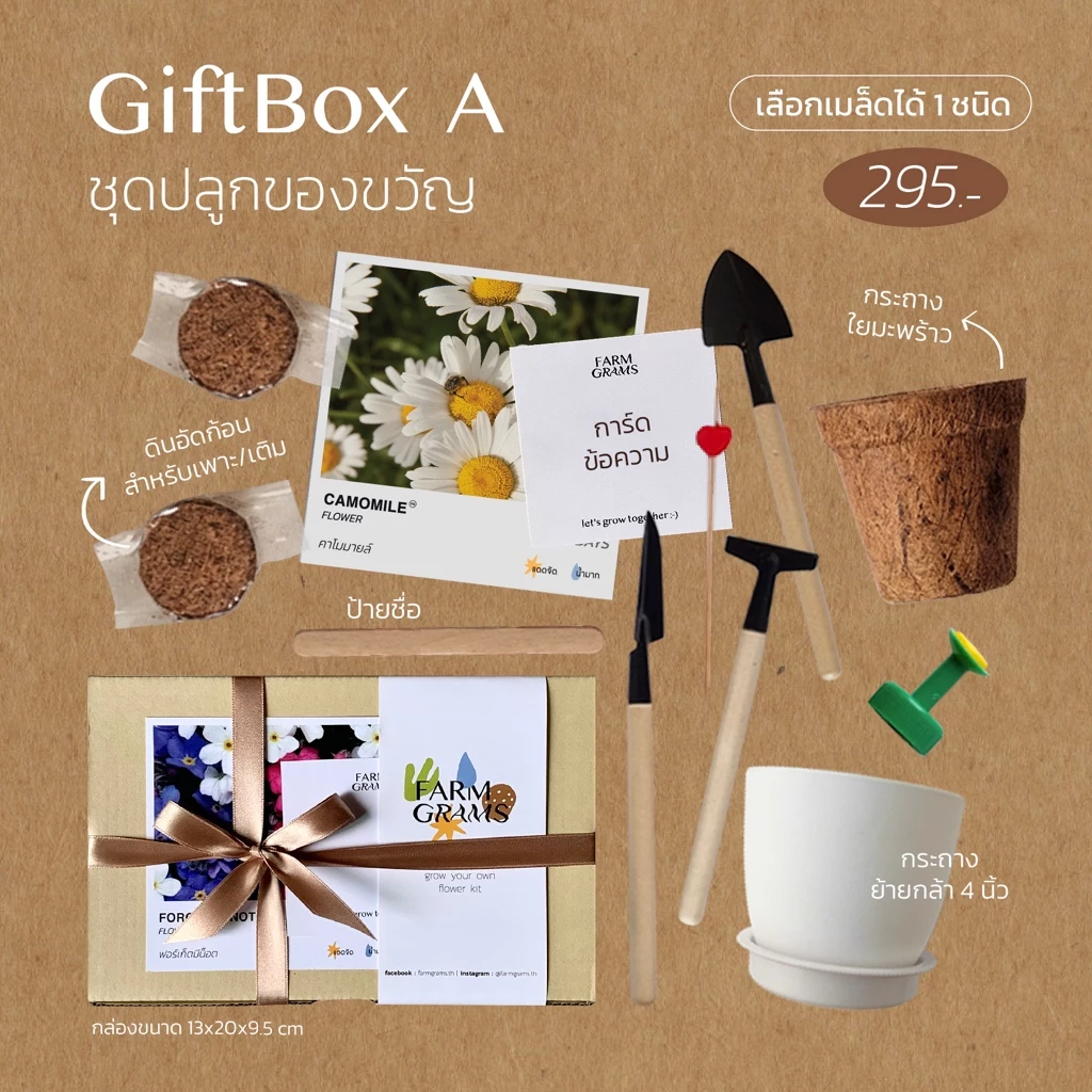ชุดปลูกดอกไม้ GiftBox A เซตให้ของขวัญ
