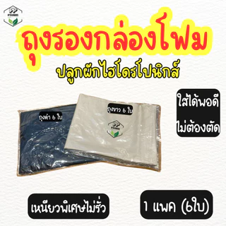 ถุงรองกล่องโฟมปลูกผักไฮโดรโปนิกส์ ถุงดำรองกล่องโฟม ถุงขาวรองกล่องโฟม หนาเหนียวพิเศษ (**6 ใบ**)