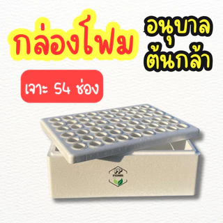 กล่องโฟมปลูกผัก อนุบาลต้นกล้า กล่องโฟม 54 ช่อง สำหรับอนุบาลต้นกล้า ปลูกผักบุ้ง คื่นฉ่าย (**พร้อมถ้วยปลูก 54 ใบ**)