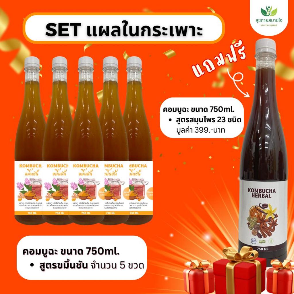 เซตแผลในกระเพาะ เครื่องดื่มคอมบูฉะ ชาหมัก สูตรขมิ้นชัน5 แถมสูตรสมุนไพร1