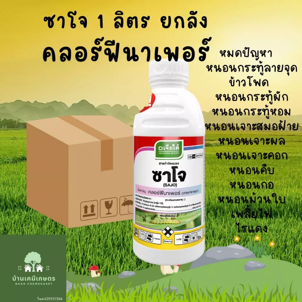 ซาโจ คลอร์ฟีนาเพอร์10% 1ลิตร ยกลัง ซาโจ สารกำจัดแมลง หนอนกอ หนอนม้วนใบ