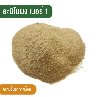 อะมิโนผง เบอร์1 กลิ่นเค็ม ตรา ทองกวาว ละลายน้ำได้ สกัดเข้มข้น