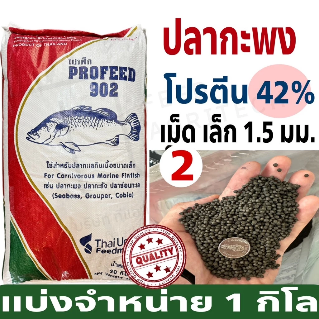 ProFeed อาหารปลากระพง โปรฟีด โปรตีน 42% อาหารปลาทะเล >> 902 << แบ่งขาย