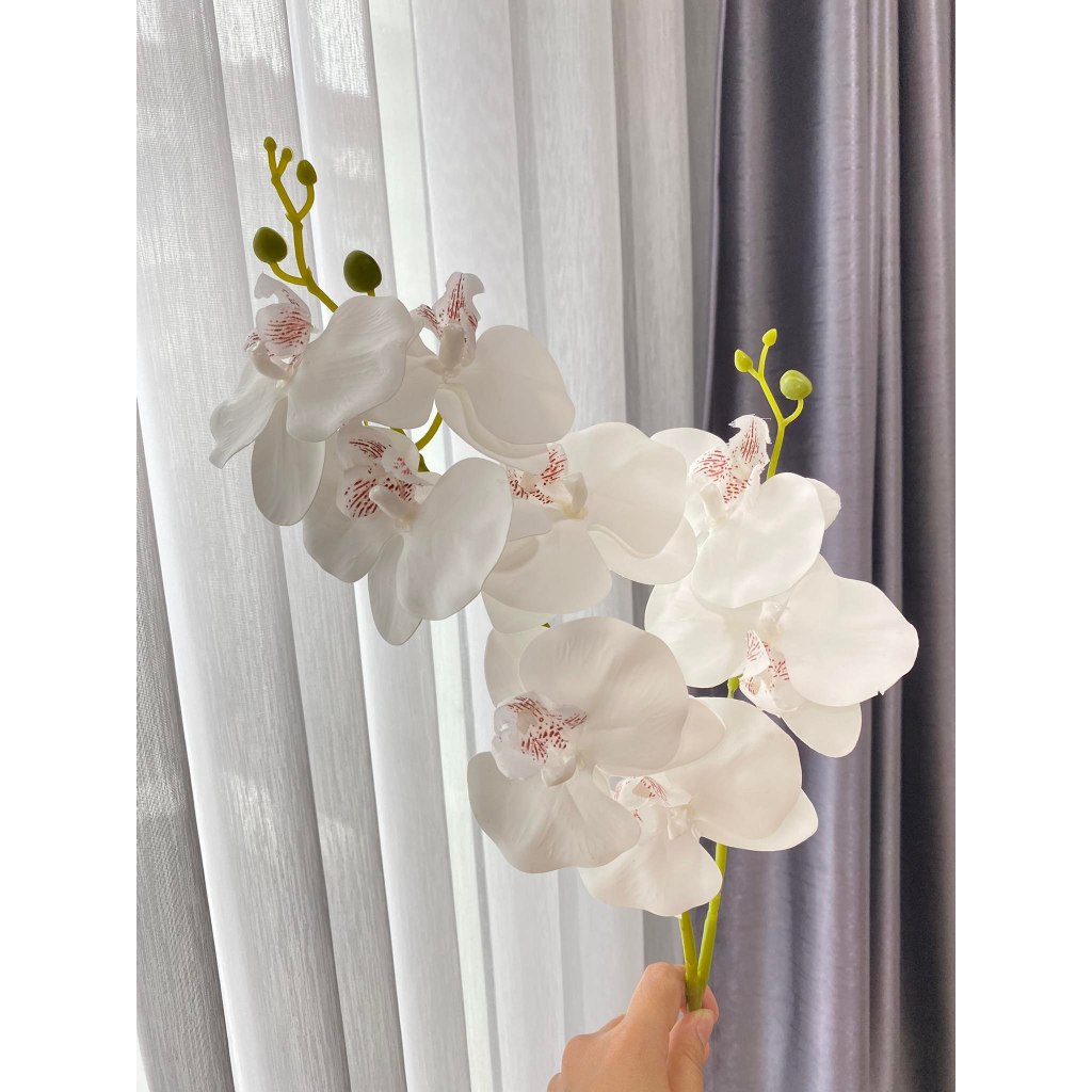 พร้อมส่งจากไทย ช่อกล้วยไม้ฟาแลนด์ 2กิ่ง 8ดอก [สูง88 ซม.]