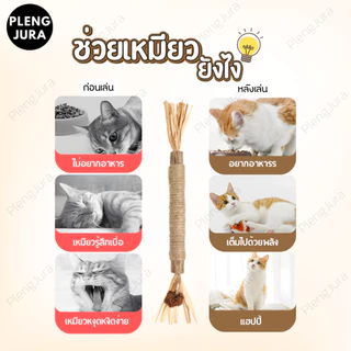 มี 3 แบบ ไม้แมวเมามาทาทาบิ matatabi stick แคทนิปญี่ปุ่น ขัดฟันแมว กัญชาแมวมาทาบิ ของเล่นสำหรับแมว ไม้ขัดฟันก้านมาทาทาบิ