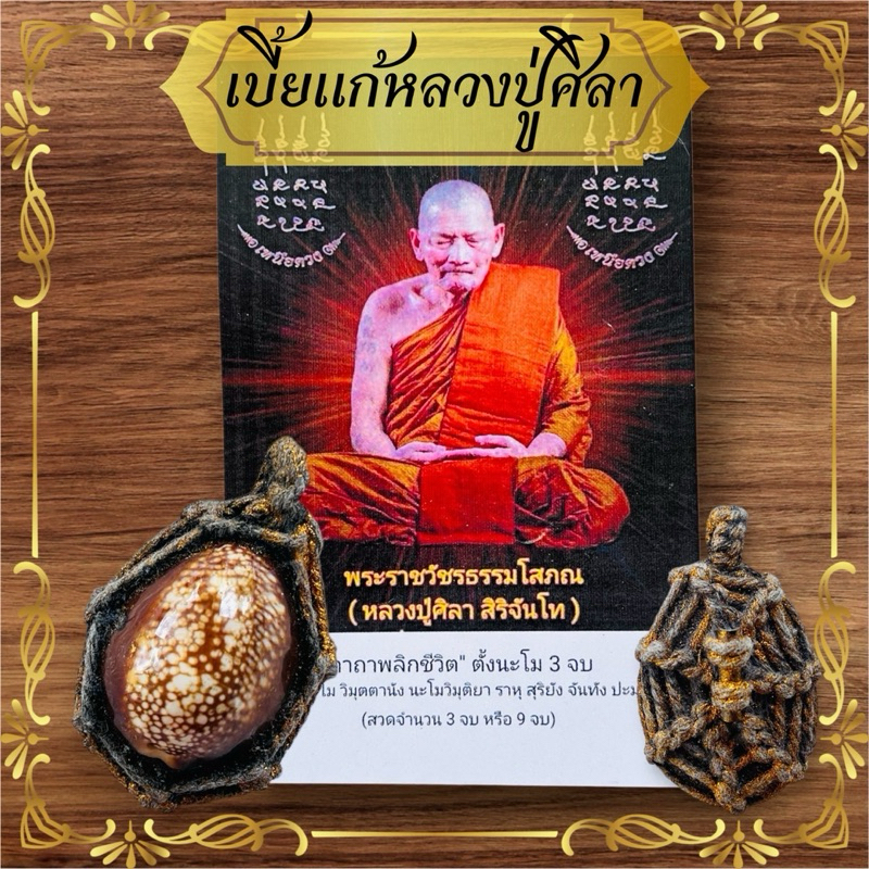 เบี้ยแก้หลวงปู่ศิลา หลังตะกรุดงานทักเชือก เบี้ยแก้หอยแท้ พร้อมบทสวดยันต์เหนือดวง เบี้ยแก้ลูกใหญ่