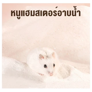 ห้องน้ำหนูแฮมสเตอร์ ห้องนอนหนูแฮมสเตอร์ ห้องน้ำเม่นแคระ