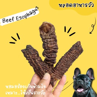 หลอดลม หลอดอาหารเนื้ออบแห้ง หอมอร่อย เคี้ยวหนึบ umm ขนมหมา