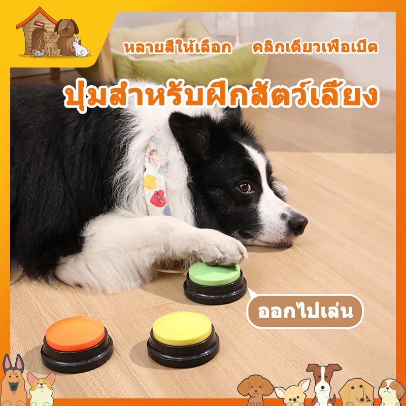 ปุ่มพูดคุยได้ ปุ่มบันทึกเสียง ปุ่มสำหรับฝึกสัตว์เลี้ยง กระดิ่งฝึกสัตว์เลี้ยง กริ่งพูดคุยได้ พร้อมส่ง