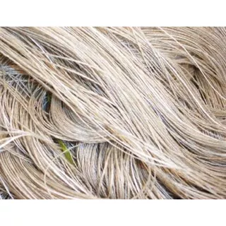 เส้นใยสับปะรด 10 g 007495 อย่าบอกว่าแพงนะคะสินค้าทำยาก งานดีกว่าคนงานจะสางได้