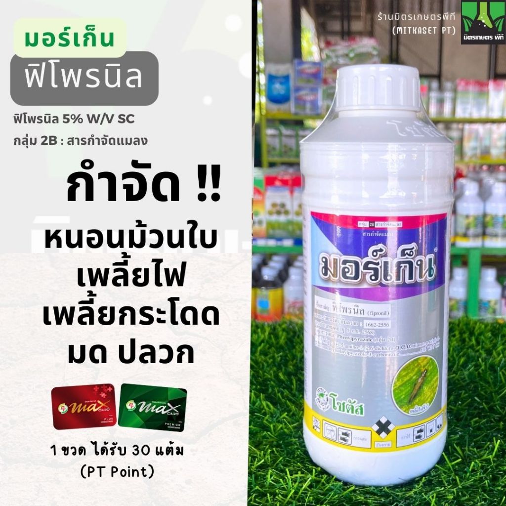 มอร์เก็น ฟิโฟรนิล 1 ลิตร กำจัดแมลง มด ปลวก เพลี้ยไฟ เพลี้ยกระโดด เพลี้ยจักจั่น ด้วงหมัดผัก หนอนชอนใบ โซตัส หนอนกอข้าว